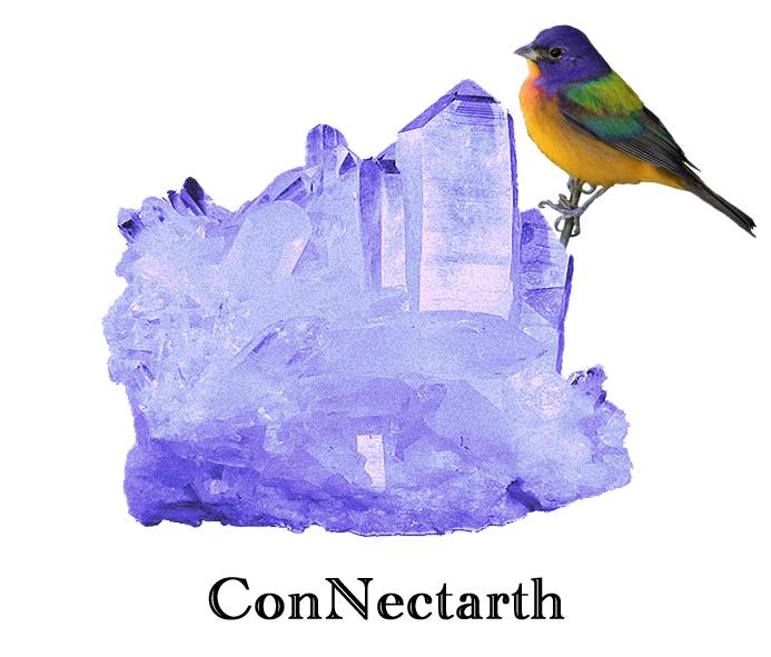ConNectarth／コネクタース